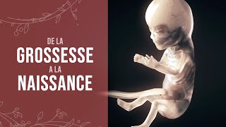 De la grossesse à la naissance dun miracle [upl. by Gyimah952]