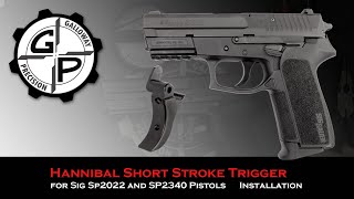 Hannibal Short Stroke Trigger Installation for the SIG Sauer SP2022 from Galloway Precision [upl. by Chilt]