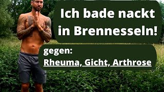 Rheuma Arthrose Gicht Nesselpeitschen hilft Erklärung und Anleitung [upl. by Trinidad]