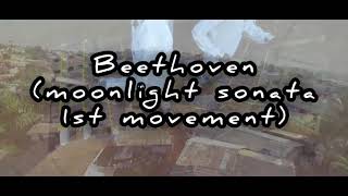 BeethovenMoonlight sonata1st movementXylophone by Rhumsiki Choir of Cameroon [upl. by Mosnar]