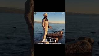 JHEELEY  NEW SONG  Satinder Sartaj Yt shortsartaajproduction [upl. by Laven134]