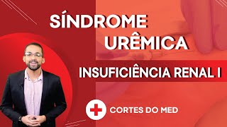 Resumo sobre Síndrome Urêmica  Insuficiência Renal I [upl. by Blanca]