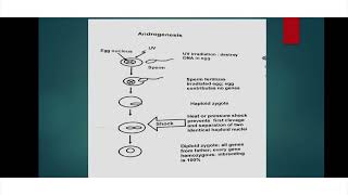 Chromosome Manipulation Gynogenesis And Androgenesis English Lecture [upl. by Idnarb]