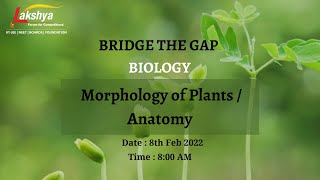 Plants Families  Morphology of Plants  Class 11 Biology  NEET  Lakshya [upl. by Keary863]