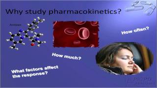 Introduction to Pharmacokinetics [upl. by Besse]