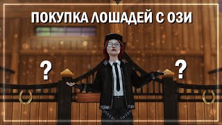 ПОКУПКА ЛОШАДЕЙ С ОЗИ КУПИЛА НЕ ТОГО  STAR STABLE [upl. by Peper370]