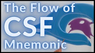 Flow of CSF  MADE EASY [upl. by Talbot]