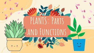 G2 Science Plants Parts and Functions [upl. by Groome728]