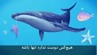 زیر نویس فارسی آهنگ نهنگ آبی blue whale song with Persian subtitles [upl. by Kattie]