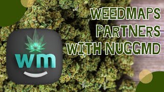 Weedmaps Partners with NuggMD to Launch Medical Cannabis Card Program [upl. by Brina]