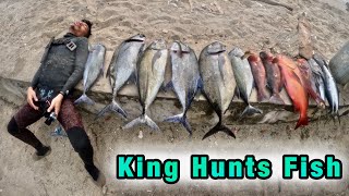 Berburu Ikan Di Maluku Utara  Episode 1 Catch And Cook SPEARFISHING INDONESIA [upl. by Apps230]