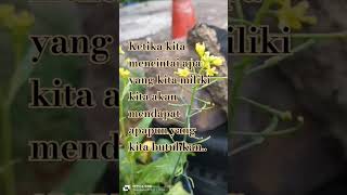 cintai apa yang kamu miliki maka cukuplah apa yang kamu butuhkan motivasi quotes katamutiara [upl. by Catherin]