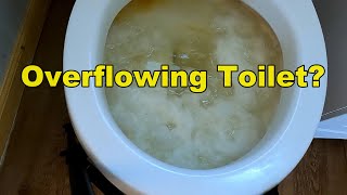 5 How to Properly Unclog Your Toilet [upl. by Astrea743]