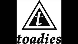 Toadies  Live  The Roxy Theatre West Hollywood CA USA 02101995 [upl. by Atiuqad]