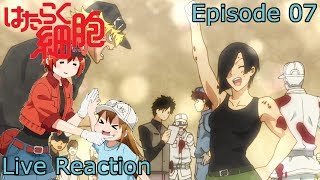 Live Reaction Hataraku Saibou Episode 7 [upl. by Pelagi]