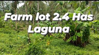 FARM LOT 24Has Madaming tanim LAGUNA [upl. by Mccreary]