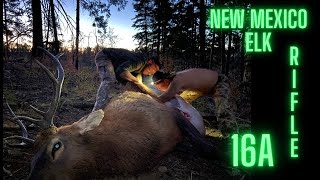 New Mexico Bull Elk Hunt [upl. by Iur831]