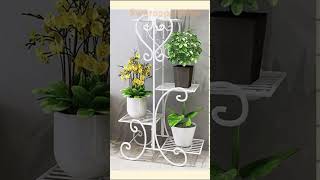 Grow Indoor Plants in Style indoorplantsdecor planters shorts treanding [upl. by Francklyn]