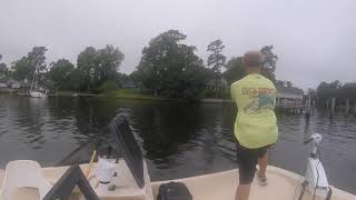 Topwater fishing off of the Pamlico River in Bath North Carolina [upl. by Niras]