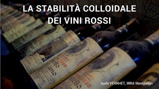 La stabilità colloidale dei vini rossi [upl. by Ydassac]