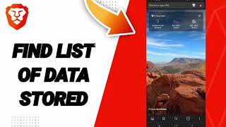 How To Find List Of Data Stored On Brave Private Web BrowserVPN App [upl. by Sirdi869]