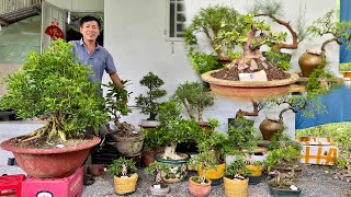 Cây cảnh bonsai Hoa Trái thập cẩm 226 nhà vườn Ngọc Ẩn 0917231734 bao ship toàn quốc [upl. by Ellary]