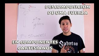 Descomposición de Fuerza en Componentes Cartesianos  Salvador FI [upl. by Tipton]