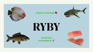 29 Ryby  budowa charakterystyka 🐟 matura z biologii 📕 liceum ✅ [upl. by Oratnek]