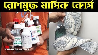 কবুতর কে রোগমুক্ত রাখতে সম্পূর্ণ মাসিক কোর্স  Pigeon Month Medicine Course Kobutor Palon Bangladesh [upl. by Faulkner102]