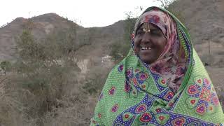 Waters of Change  A Story of Renewal in Shesherema Village in Eritrea [upl. by Chastity]