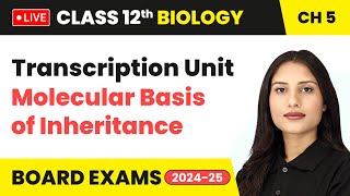 Transcription Unit  Molecular Basis of Inheritance  Class 12 Biology Chapter 5  live [upl. by Enomal47]