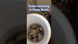 Quick Limits of 10 Pismo Clams [upl. by Aiouqahs626]