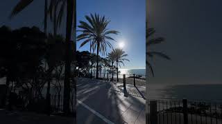 Weather today 🌴✨ In Marbella trees 🌳 are trimmed for shade 🌞 on beach walks 🏖️🚶‍♂️ [upl. by Doykos]