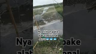 Nangkap Ikan pake Jaring Anco fishingnet fishing shortvideo [upl. by Aryek850]