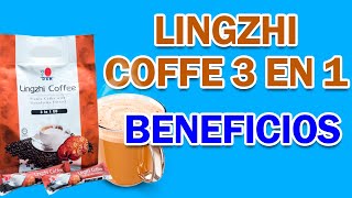 LINGZHI COFFEE 3 EN 1 DXN Beneficios Propiedades y Como Tomarlo🙂 [upl. by Irra]