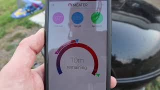 Meater Meat Thermometer Review Plus Bonus Tri Tip Cook [upl. by Ynnol]