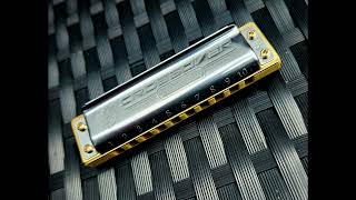 Among My Souvenirs  Harmonica [upl. by Eibber295]