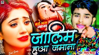 NonStop 2024 jalim Hua Jamana  Prince Priya gana jakhmi jukebox दर्दभरी gana Sadsong जख्मी new [upl. by Enerehs190]