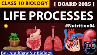 Autotrophic Nutrition ll Photosynthesis ll What is Stomata ll science board class10th biology [upl. by Annayek797]