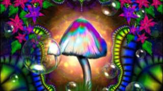 Infected Mushroom A Tribute Mix [upl. by Adlanor]