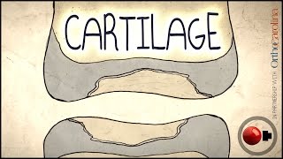 Cartilage Science Explained [upl. by Vesta]