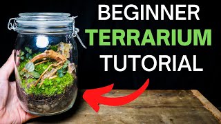 How To Make A Terrarium  ULTIMATE Beginners Guide [upl. by Okihcim]