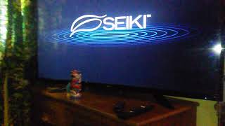 trying to fix the Seiki tv whats wrong with my seiki smart tv a video message to handy randy [upl. by Nylinej875]