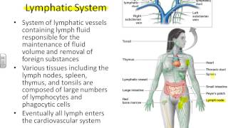 Dr Parkers Microbiology Class  Chapter 16 sp13 [upl. by Notned]