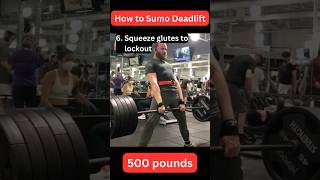 How to Sumo Deadlift PROPERLY W Heavy Weight [upl. by Vincenta438]