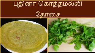 Mint coriander leaves dosa  Dosa recipe in tamil  Green dosai [upl. by Teddman]