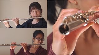 The Imitation Game main theme  Flute Cover [upl. by Lise427]