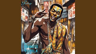 Tribute to Fela [upl. by Shulman876]