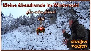 Kleine Abendrunde im Winterwald    Erster Advent 2017     Cinelike Version [upl. by Tumer]