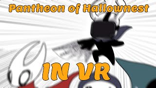 Hollow Knight  Pantheon of Hallownest in VR [upl. by Amelus565]